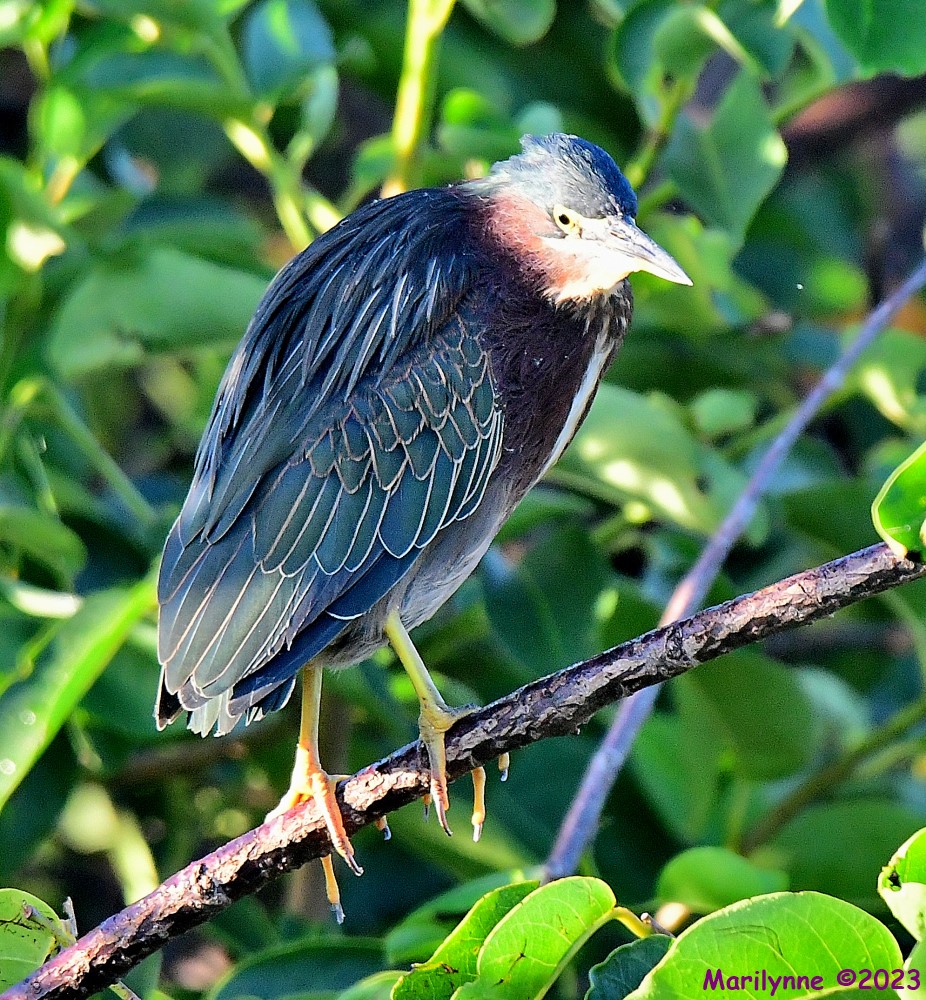DSC_8366_001.JPG