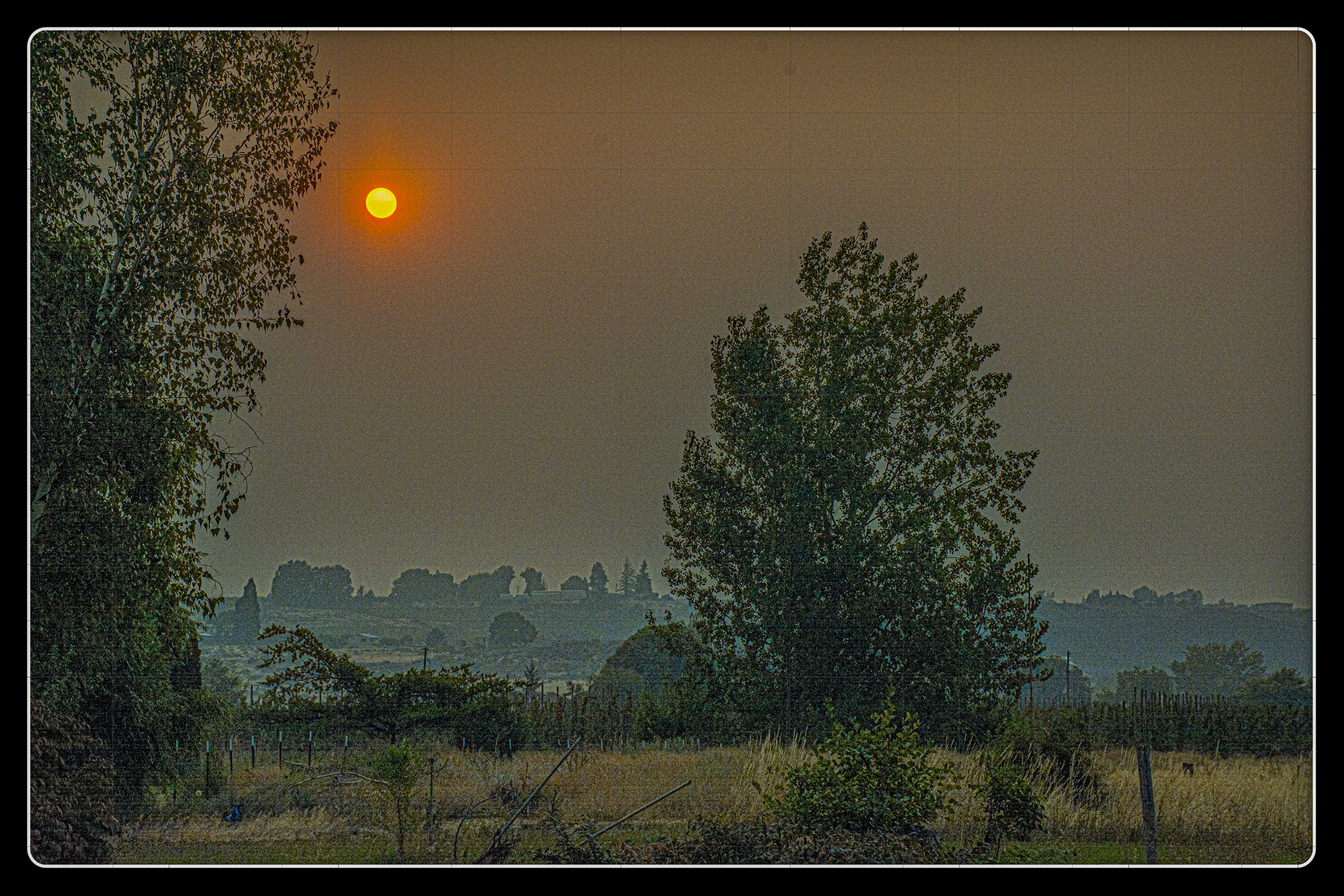 DSC_8371-Edit.jpg