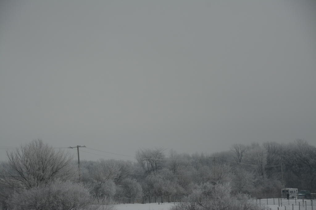DSC_8372.jpg