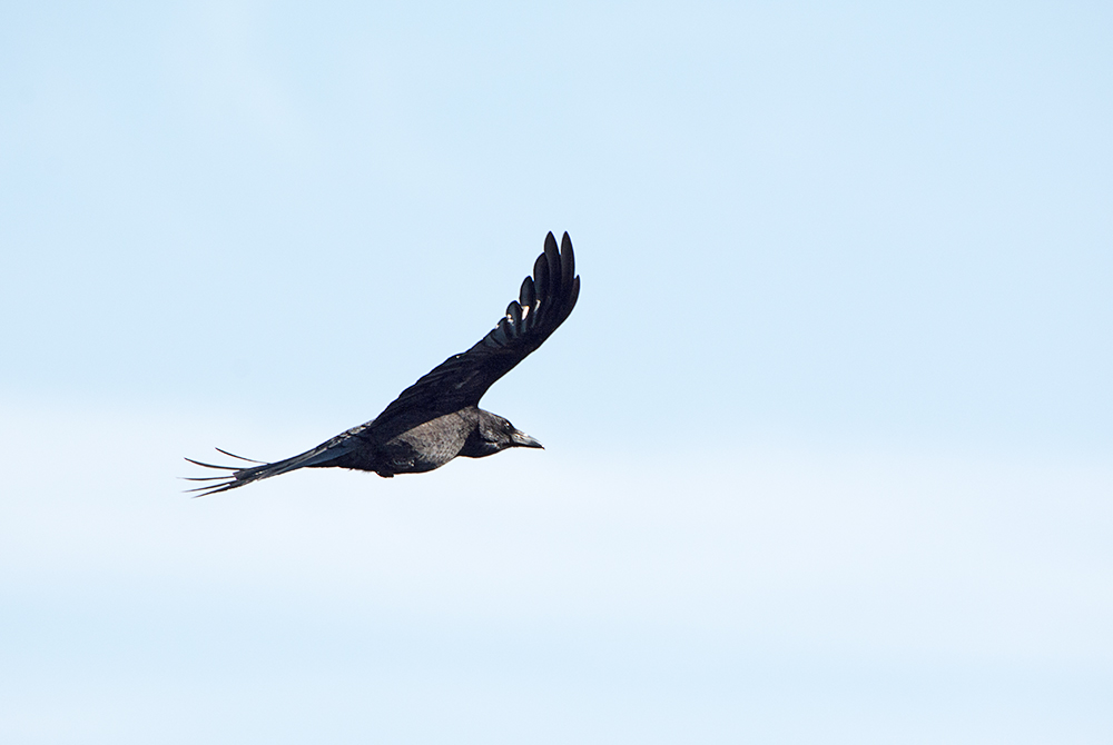 DSC_8372.jpg