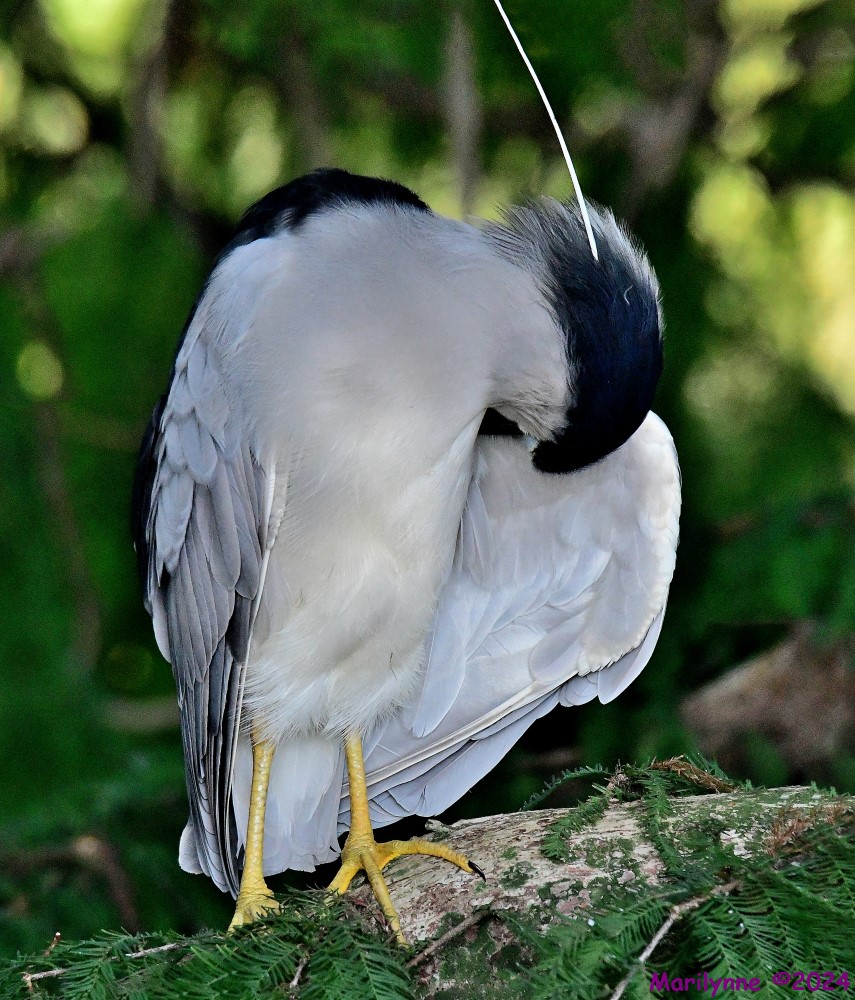 DSC_8376_stitch_001.JPG