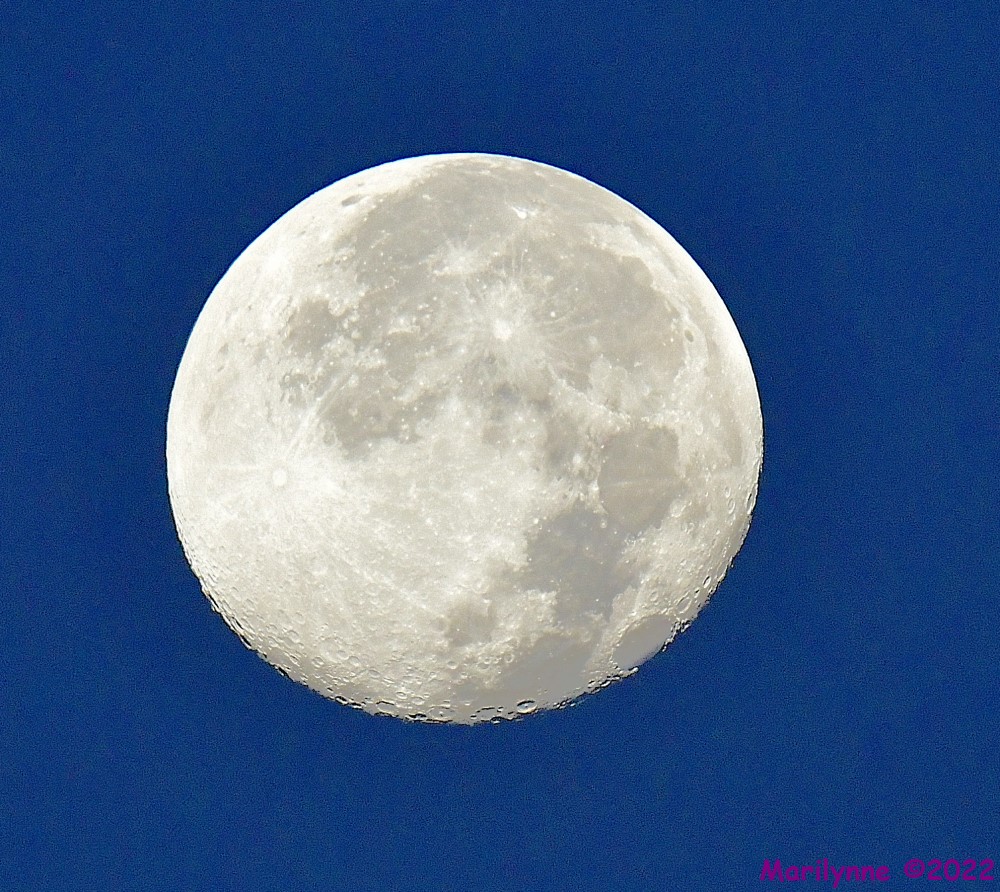 DSC_8378_001.JPG