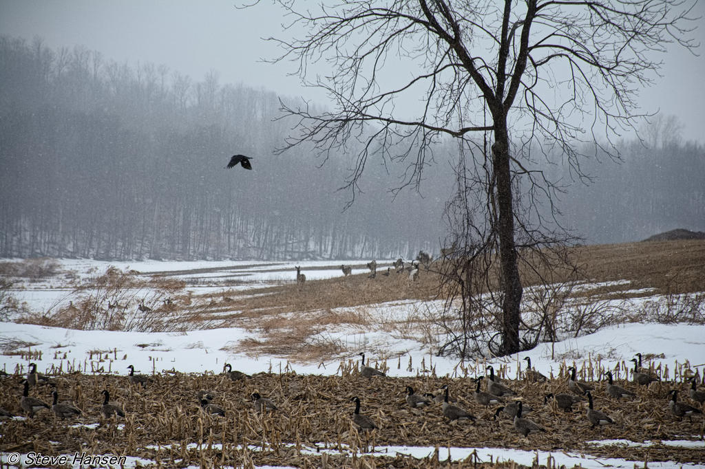 DSC_8380-1.jpg