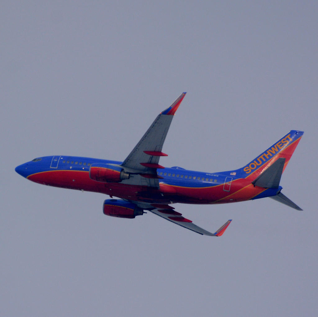 DSC_8382.jpg