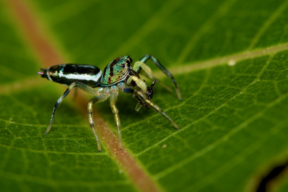 DSC_8382.jpg