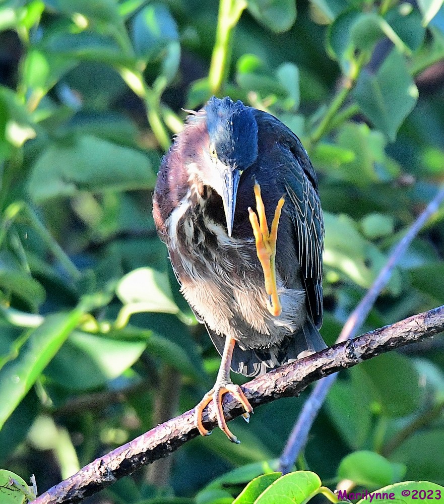 DSC_8382_001.JPG