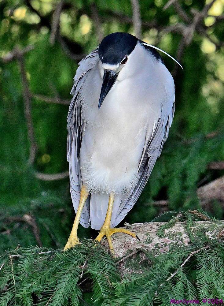 DSC_8383_001.JPG