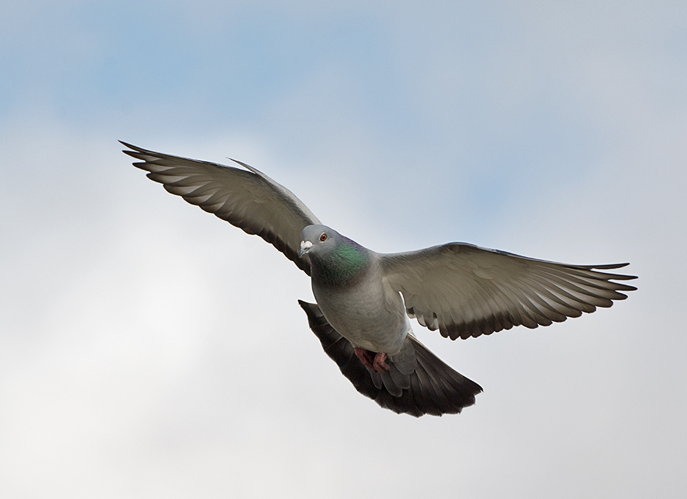 DSC_8385.jpg