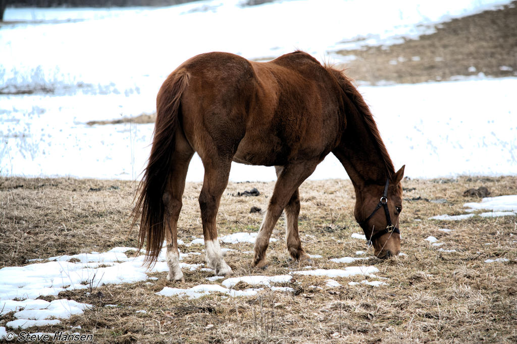 DSC_8390.jpg