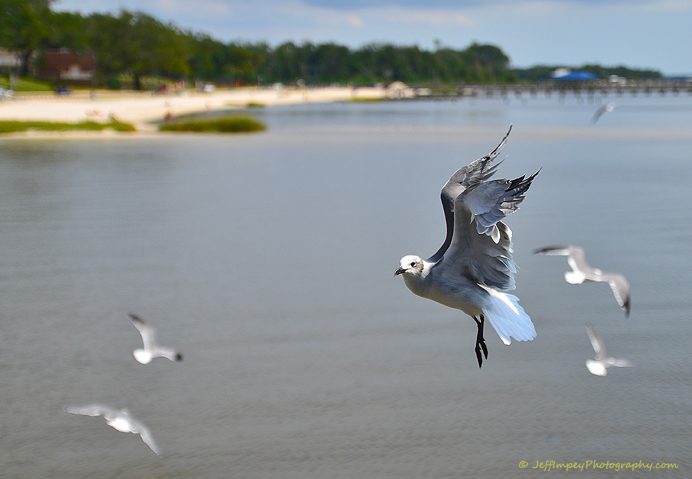 DSC_8399.jpg