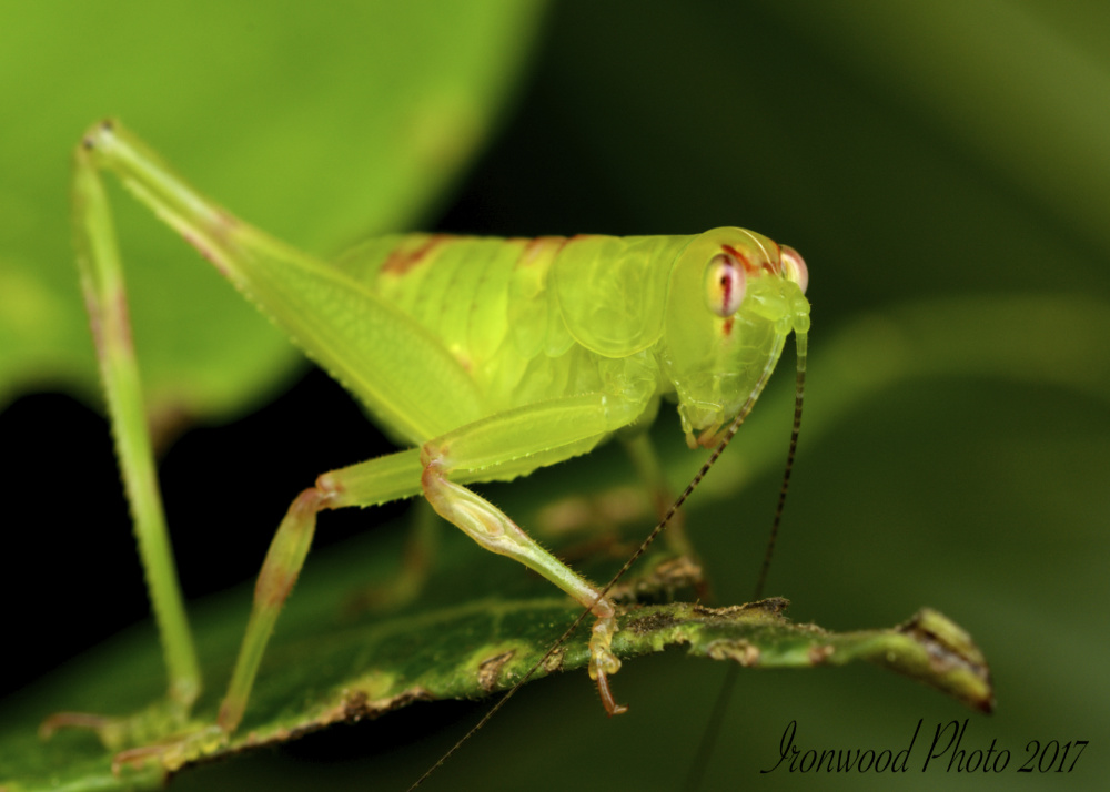 DSC_8400.jpg