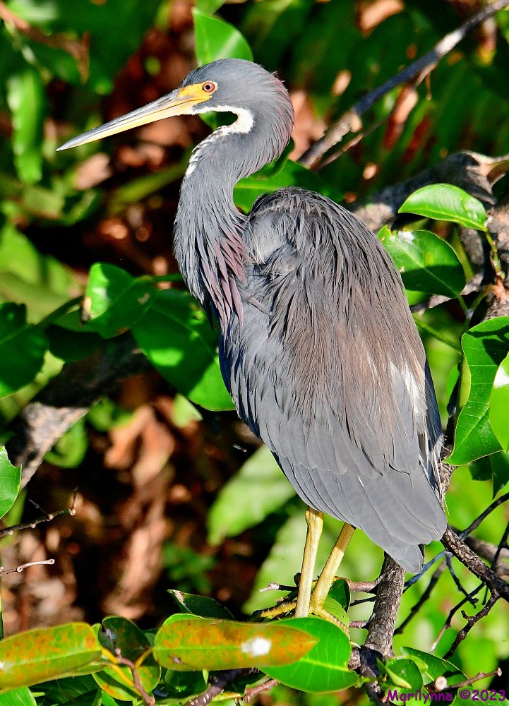 DSC_8400_001.JPG