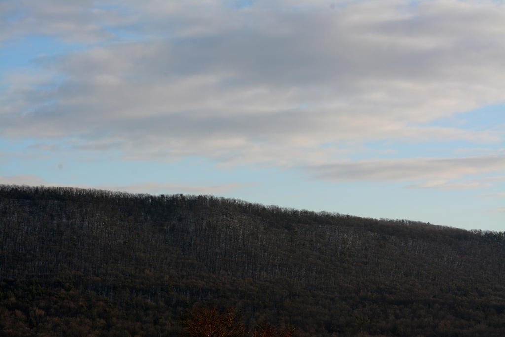 DSC_8405.jpg
