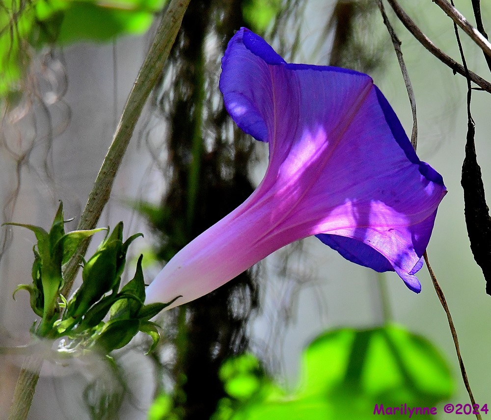 DSC_8407_001.JPG