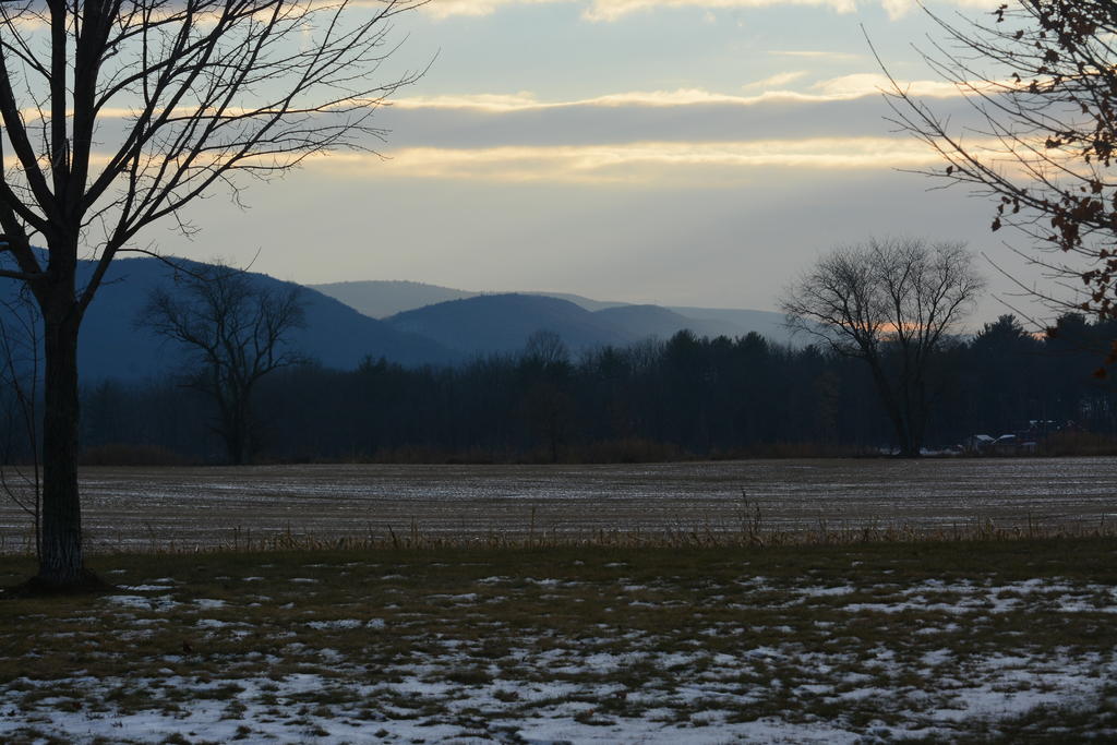 DSC_8409.jpg