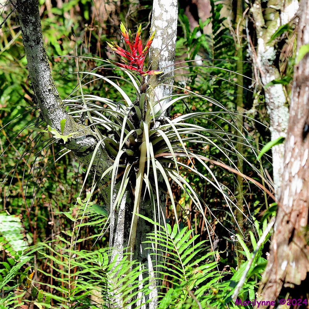 DSC_8409_001.JPG