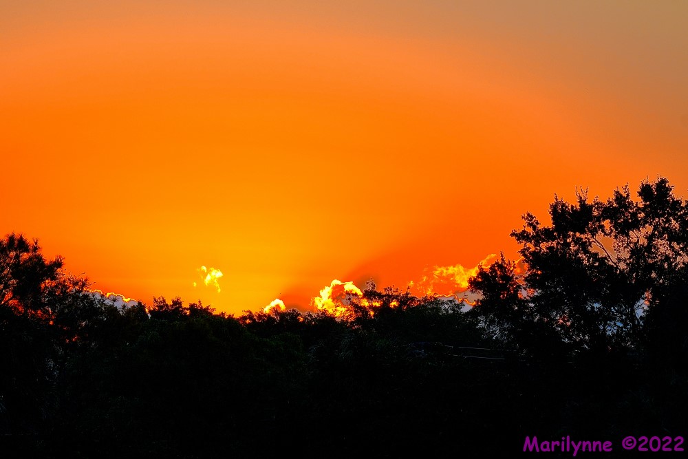 DSC_8411_001.JPG
