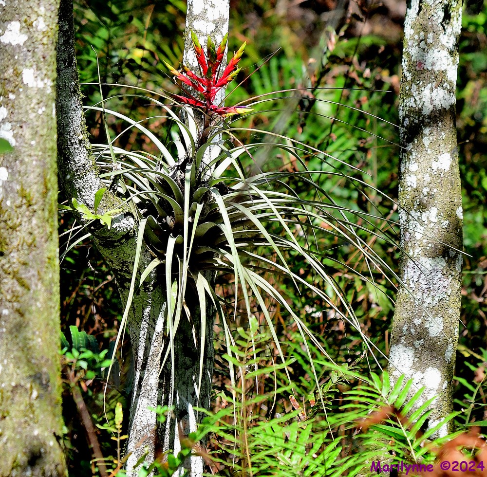 DSC_8411_001.JPG