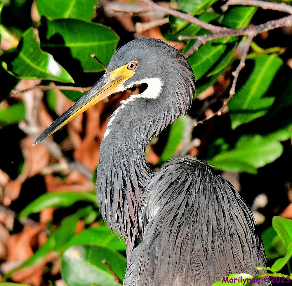 DSC_8416_001.JPG