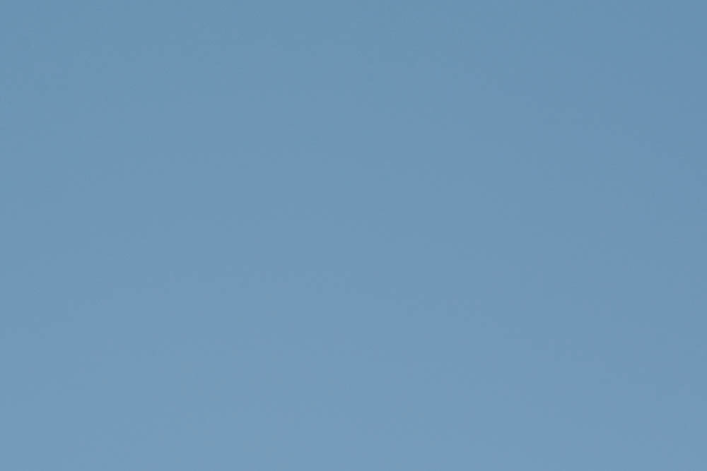 DSC_8417.jpg