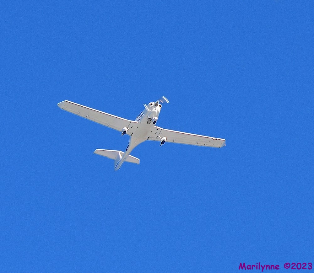 DSC_8417_001.JPG