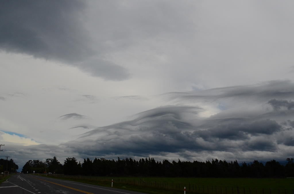DSC_8419.jpg