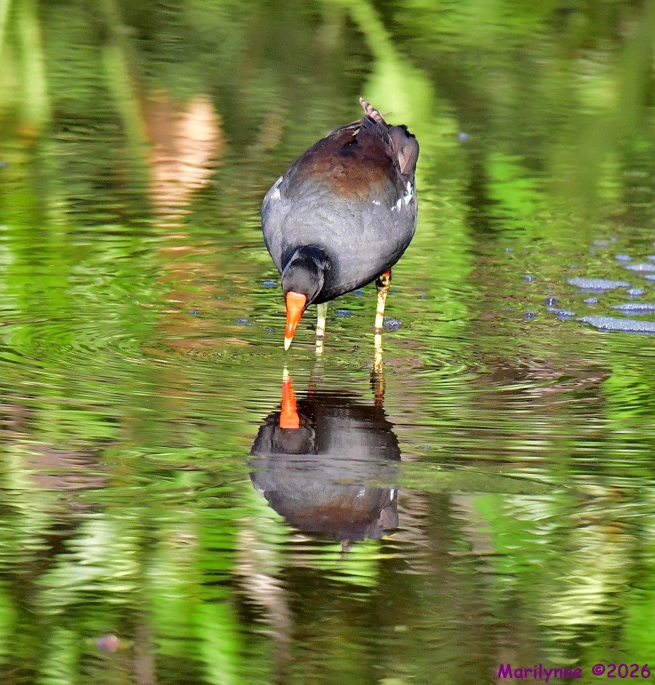 DSC_8422_001.JPG