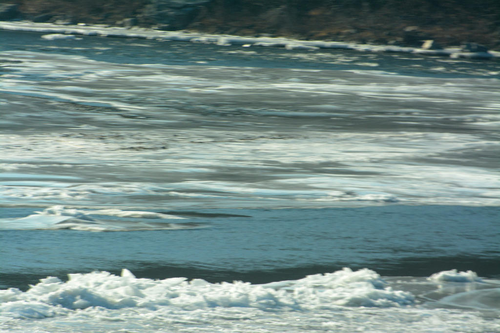 DSC_8428.jpg