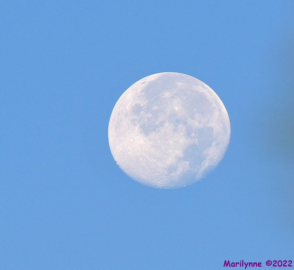 DSC_8428_001.JPG