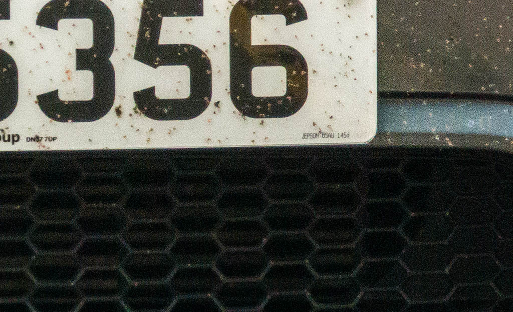 DSC_8430c.jpg