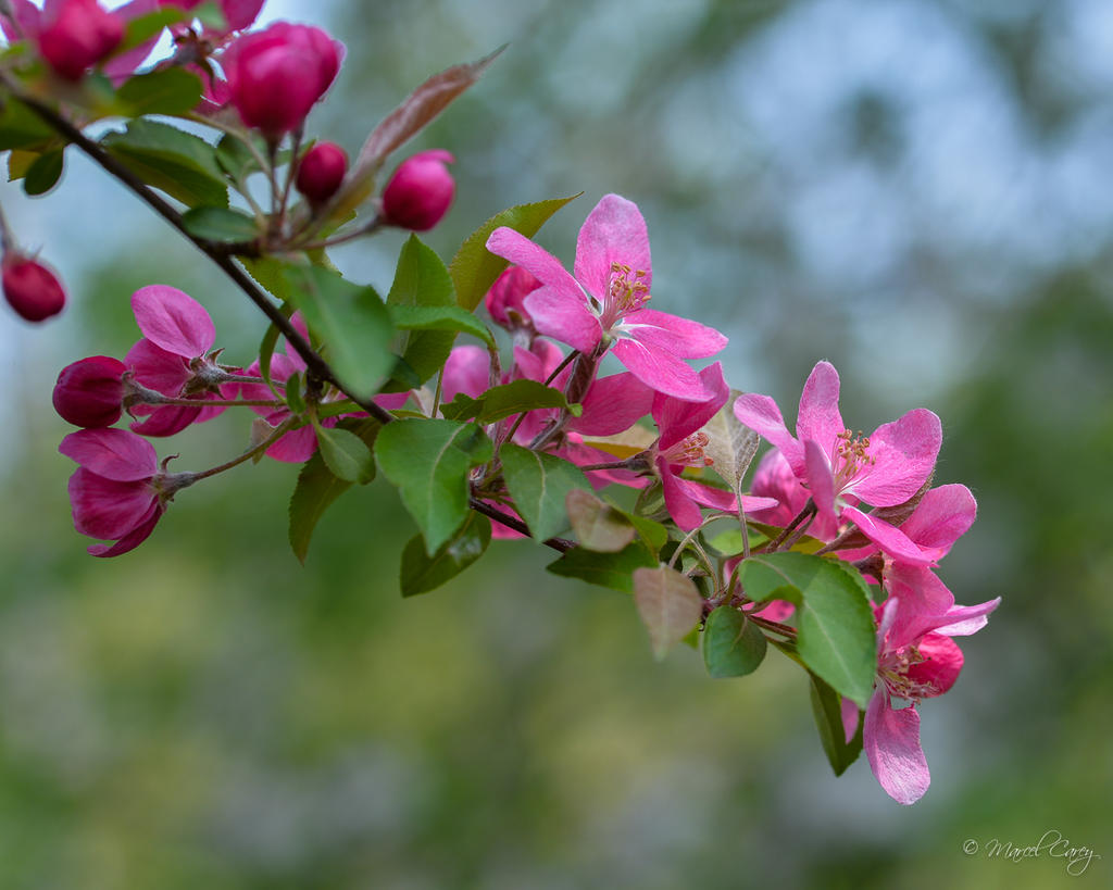 DSC_8431.jpg