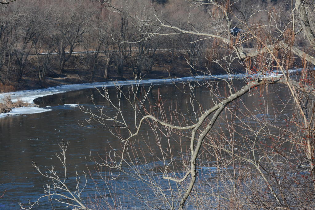 DSC_8432.jpg