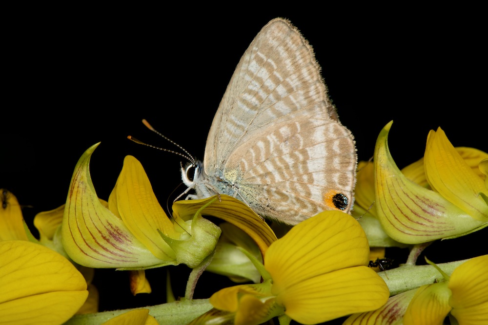DSC_8432.jpg