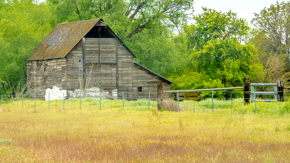 DSC_8433.jpg