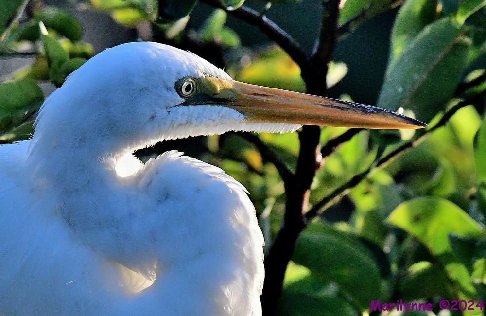 DSC_8433_001.JPG