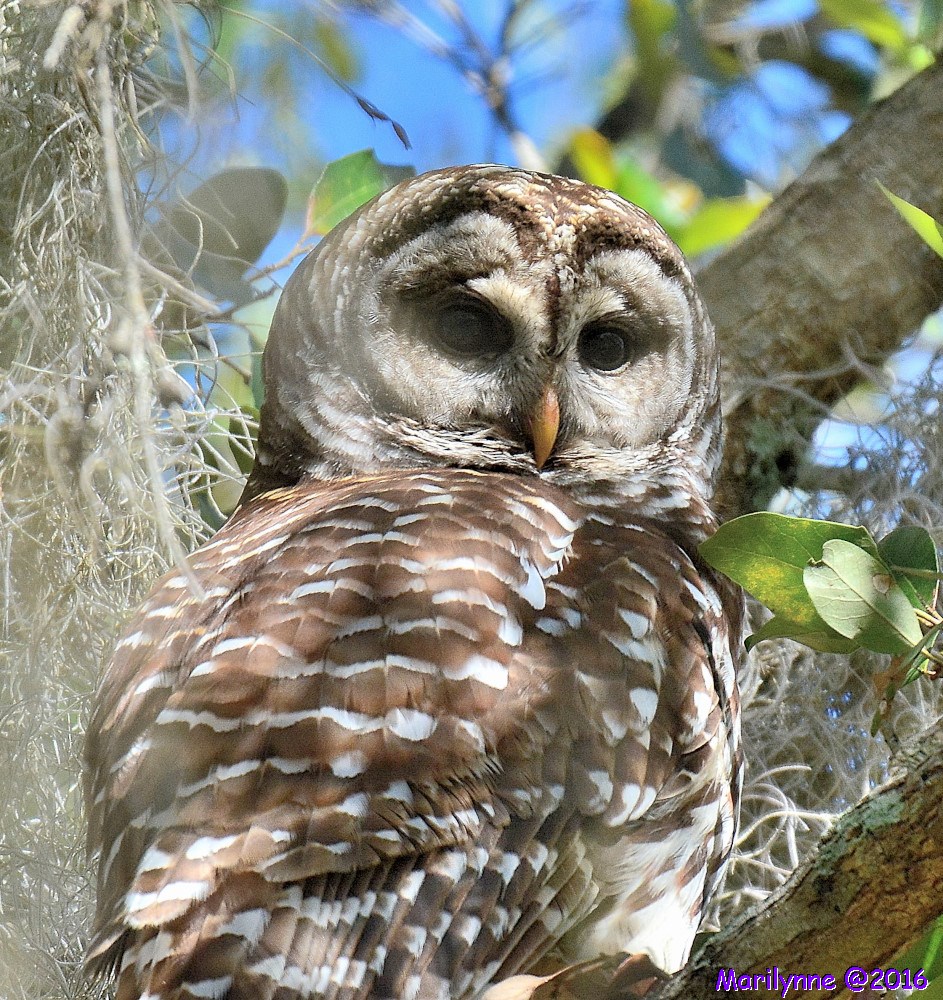 DSC_8433_01.JPG