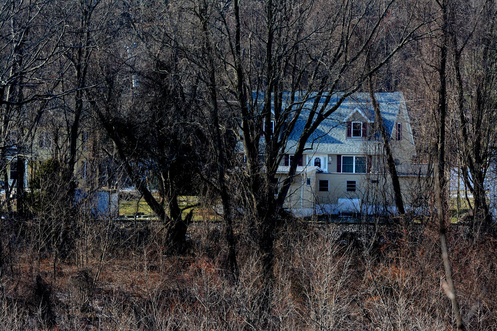 DSC_8435.jpg
