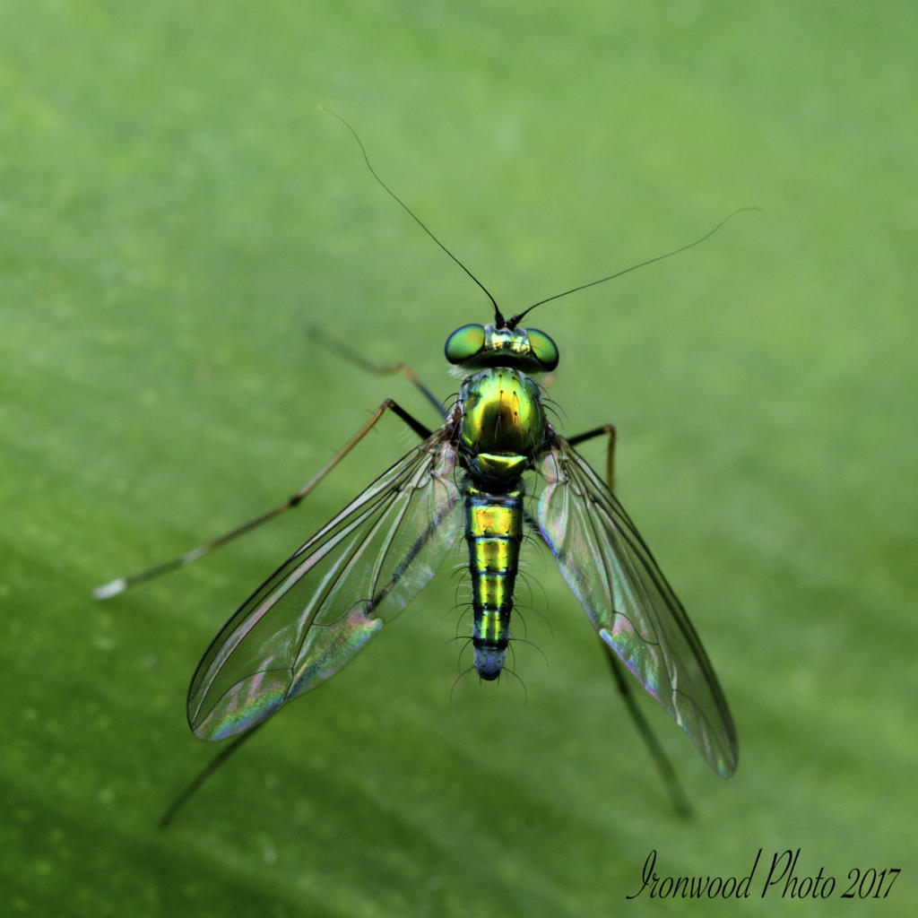 DSC_8438.jpg