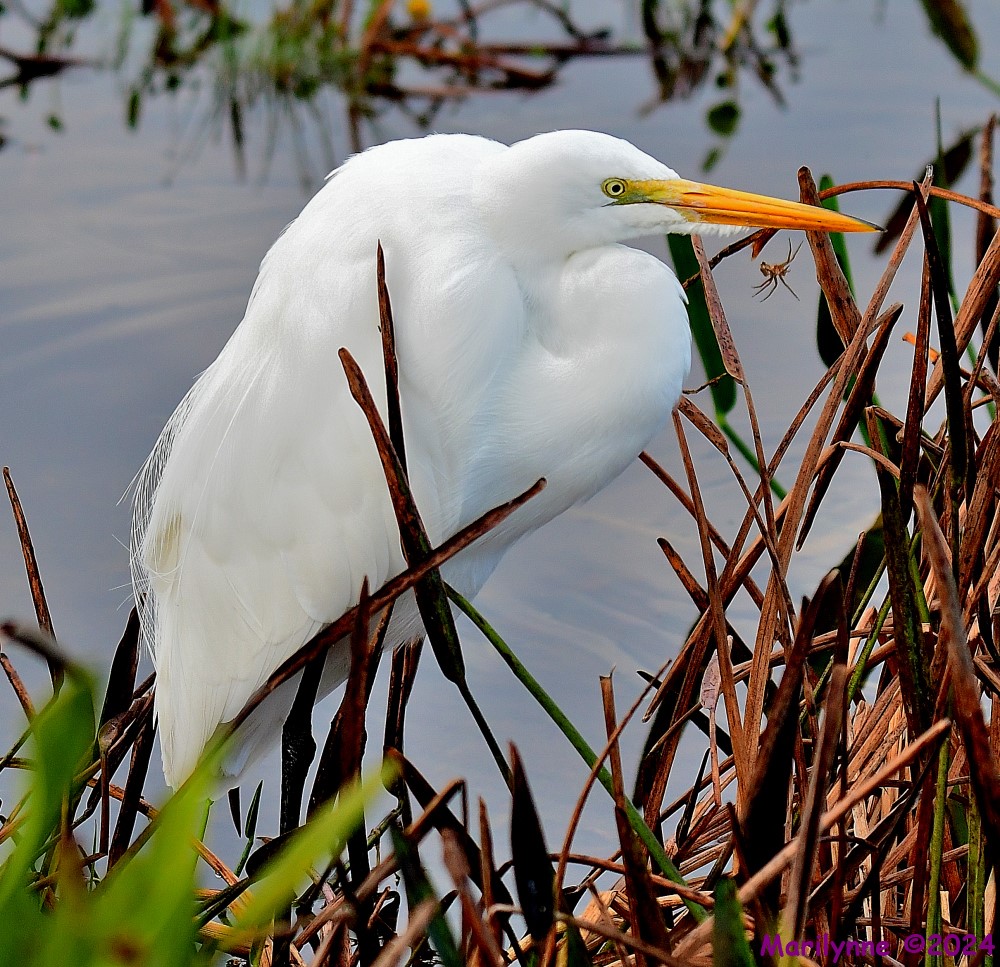 DSC_8439_001.JPG