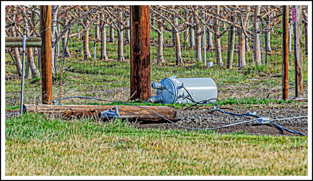 DSC_8444-Edit.jpg