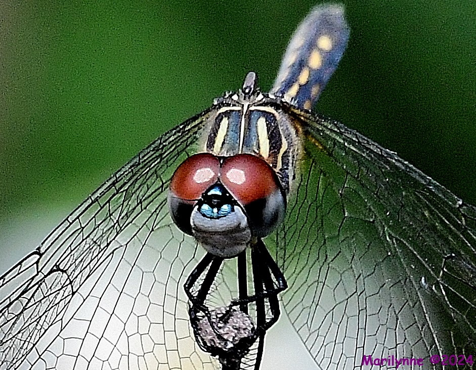 DSC_8450_001.JPG