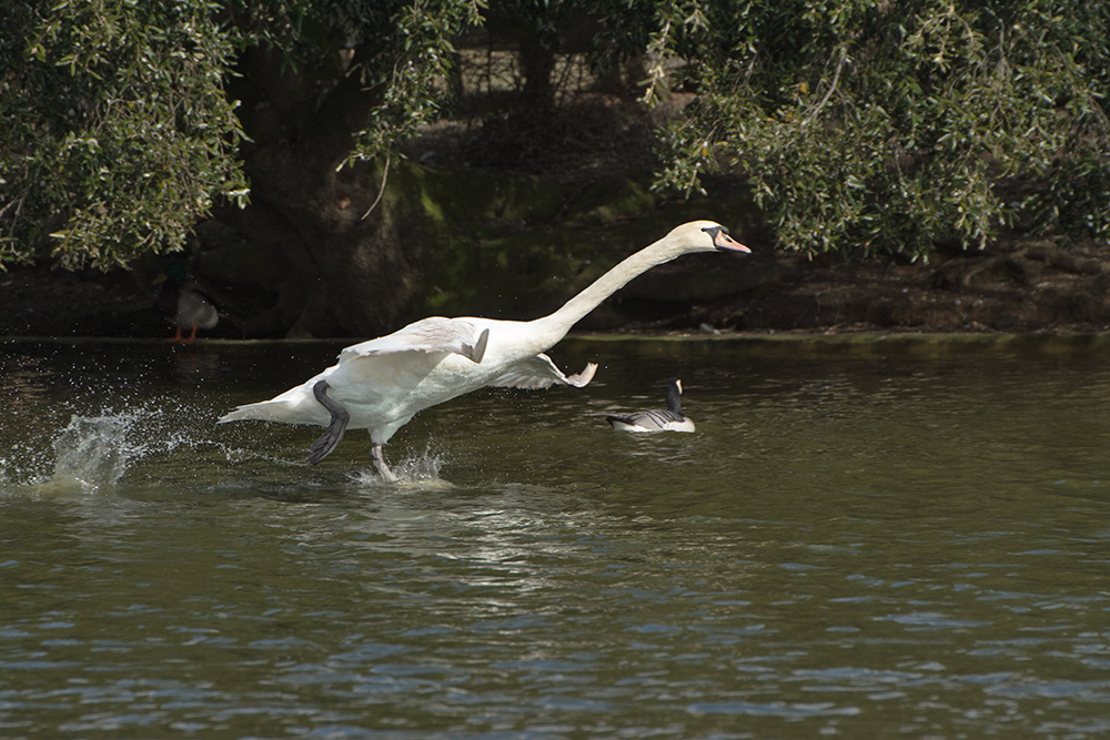 DSC_8455.jpg