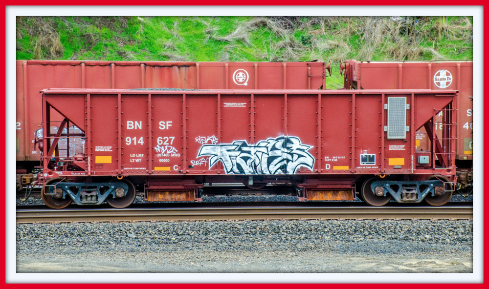 DSC_8456.jpg