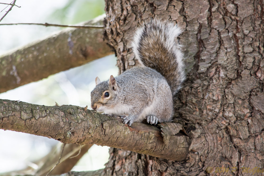 DSC_8457.jpg