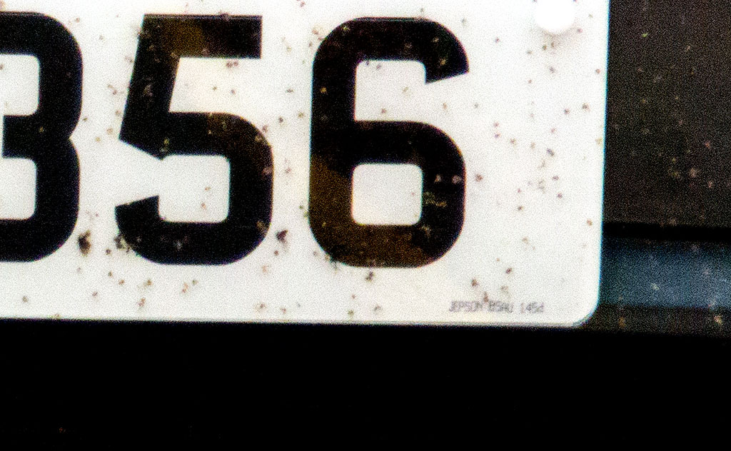 DSC_8457second.jpg