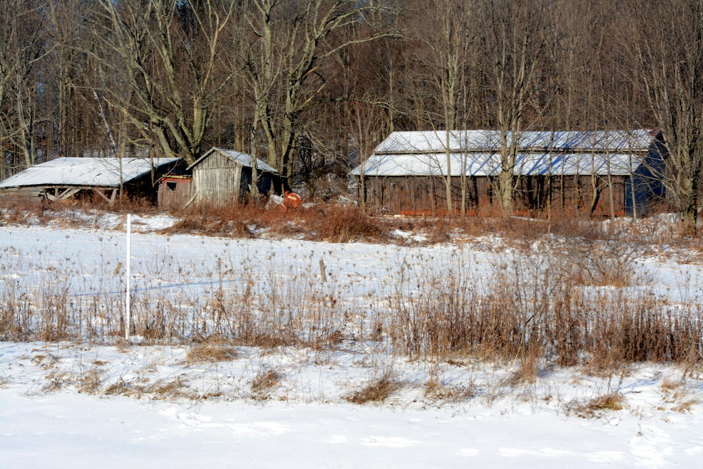 DSC_8462.jpg