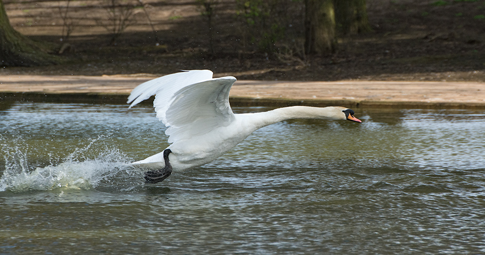 DSC_8470.jpg
