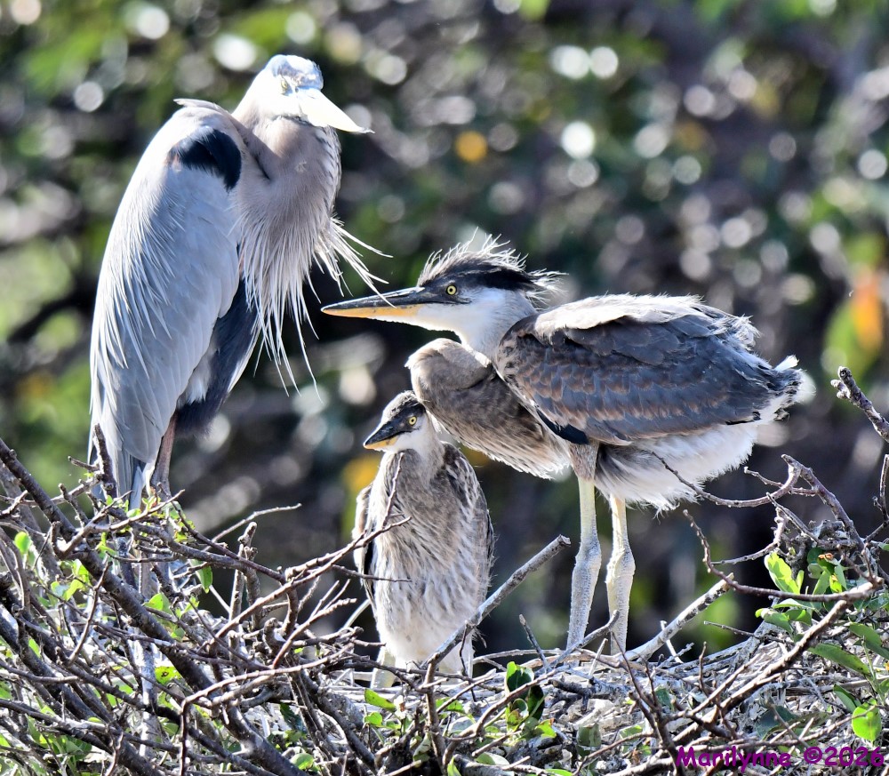 DSC_8473_001.JPG