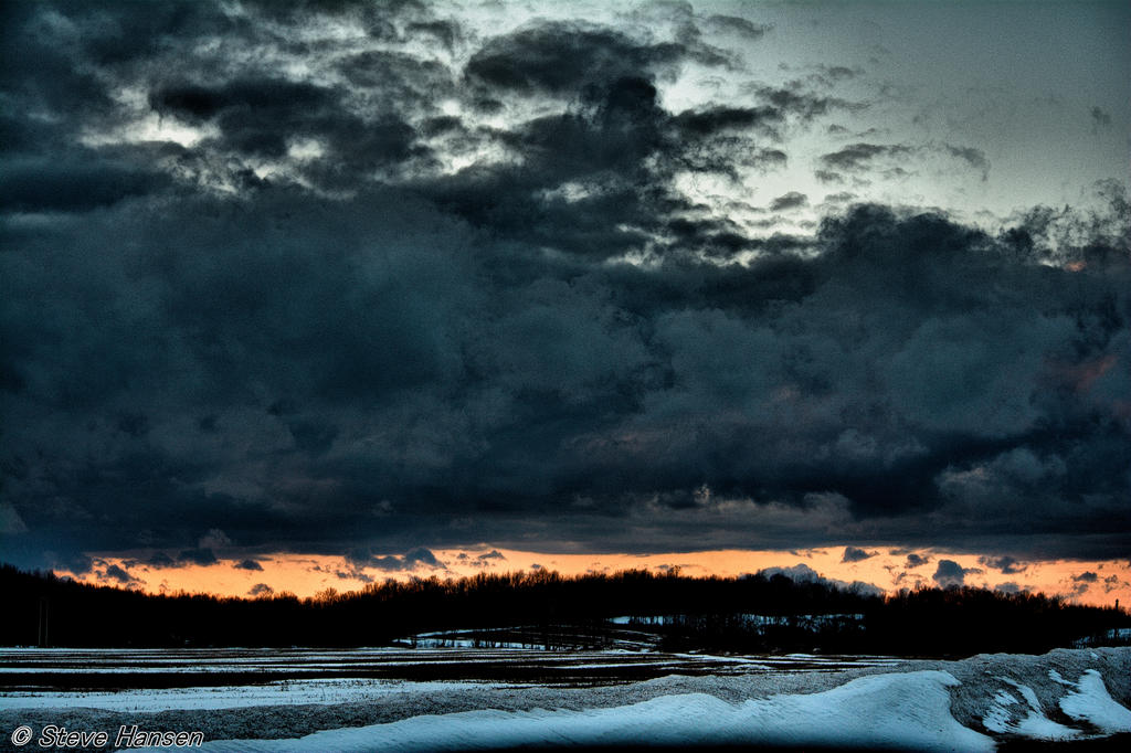 DSC_8481.jpg