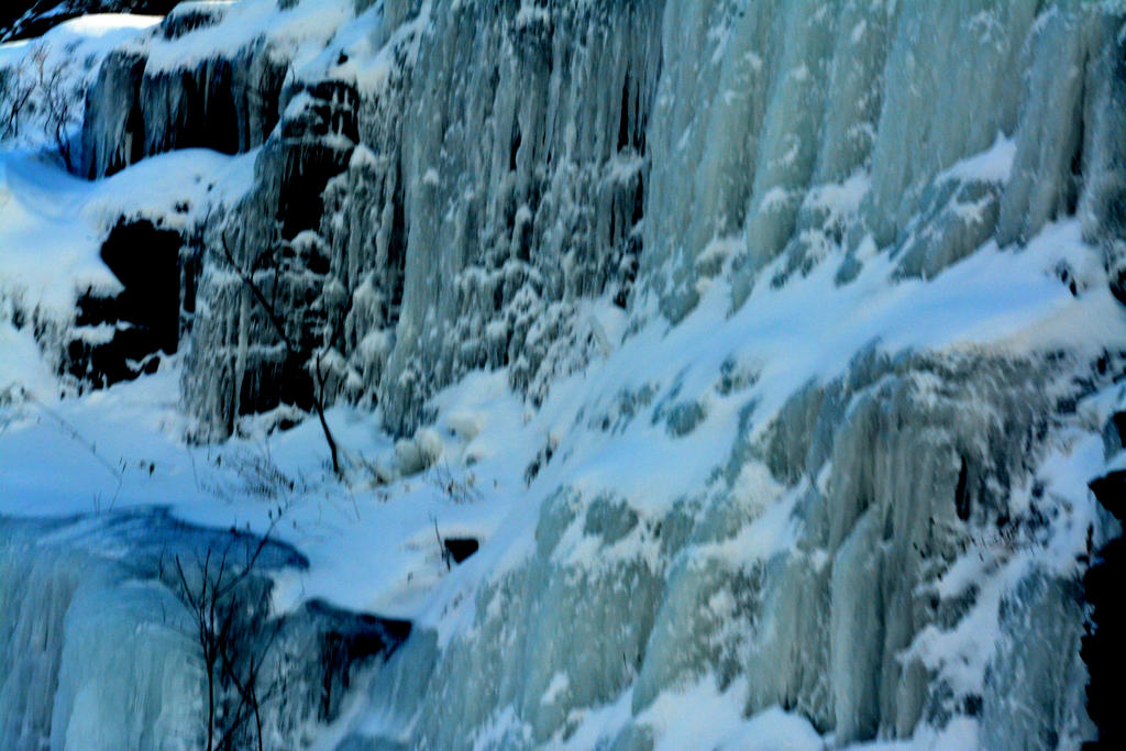 DSC_8482.jpg